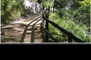 Shanklin Chine